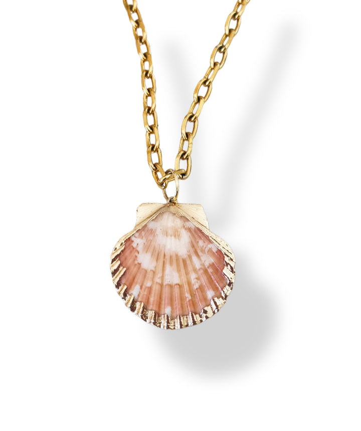 Scallop Necklace