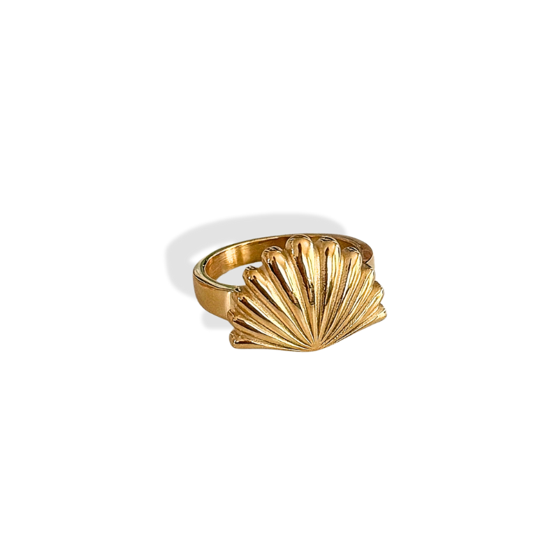 Anillo de vieira