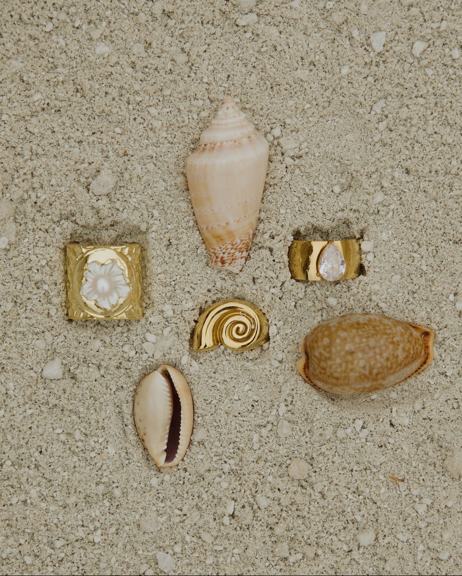 Collection of seashells and small stones on a sandy surface