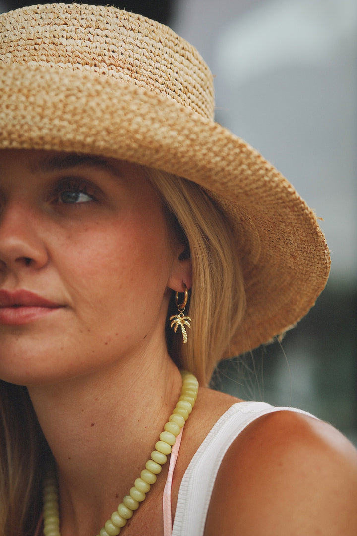Palm Paradise Hoops